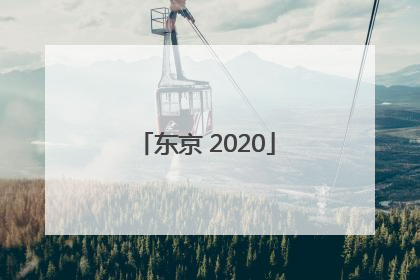 「东京 2020」2020奥运会游戏
